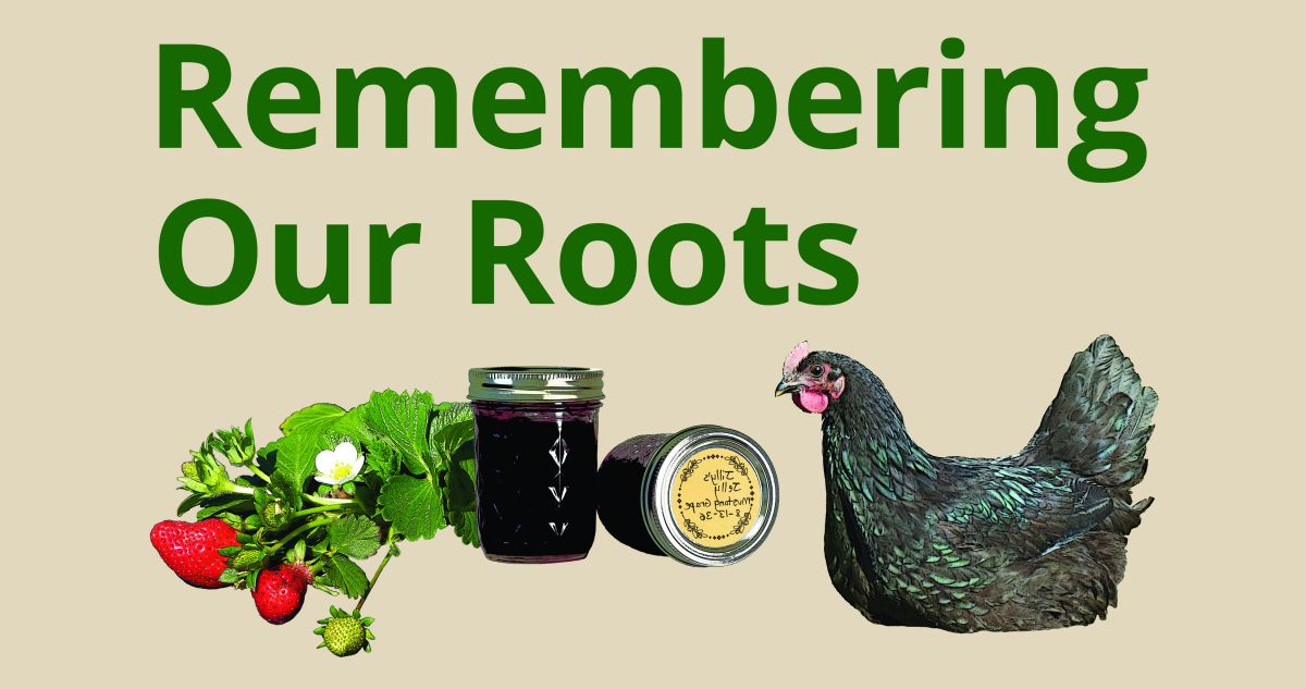 Banner - remember our roots